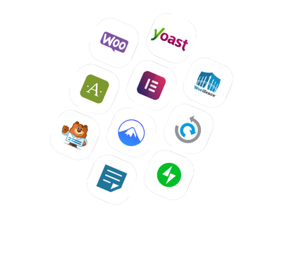 WordPress Plugins